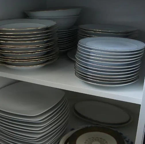 杜塞尔多夫机场宾馆 *